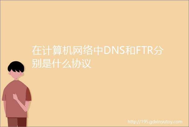 在计算机网络中DNS和FTR分别是什么协议